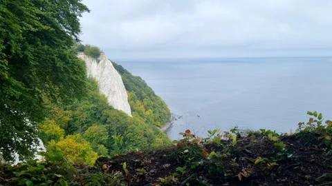 Chalk Cliff Framed by Autumn Beech Leaves Above the Baltic Stock Footage 346411537