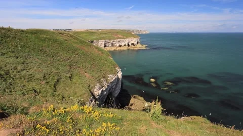 Chalk cliffs at Flamborough Head Stock Footage 342156130