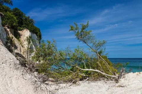 Chalk cliffs Stock Photos