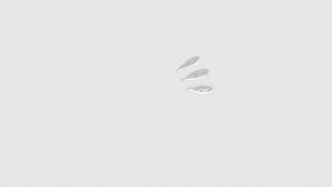 Chalk doodle splash animation, transparent background Vidéo 333588547
