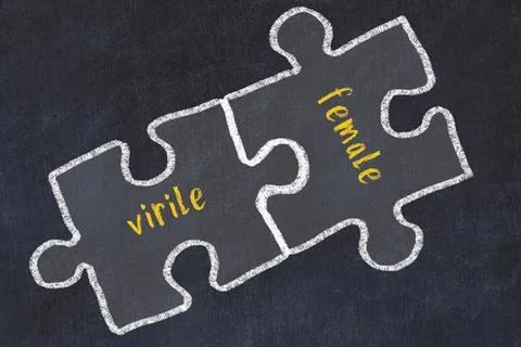 Chalk drawing of two puzzles with words virile and female. Concept of solving Stock Illustration
