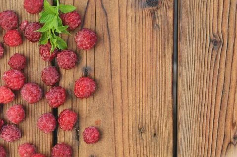 A chalk of mint lies among the raspberry berries on a wooden background Stock Photos