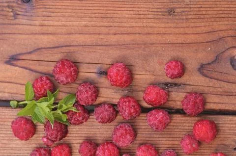 A chalk of mint lies among the raspberry berries on the bottom of the wooden Stock Photos