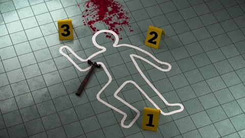 Chalk outlines of a human body, numbered evidence markers for forensics, and Stock Footage 314018313