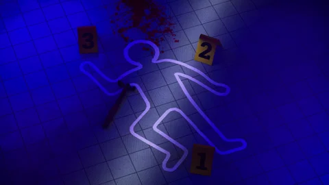 Chalk outlines of a human body, numbered evidence markers for forensics, and Vídeos de archivo 314018490