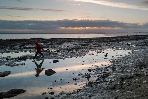 A chalk rock pool on a beach at sunset with reflections of the sky. Stock Photos