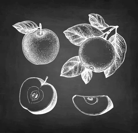 Chalk sketch of apple. Stock Illustration