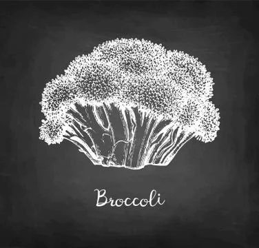 Chalk sketch of broccoli. Illustrazione stock