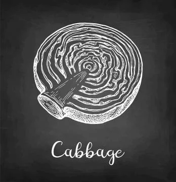 Chalk sketch of cabbage Stock Illustration