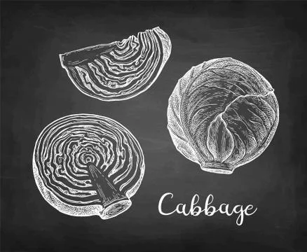 Chalk sketch of cabbage Stock Illustration