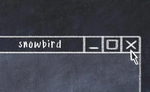 Chalk sketch of closing browser window with page header inscription snowbird Fotos Stock