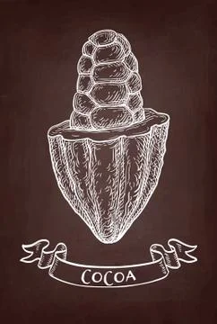 Chalk sketch of cocoa. Illustrazione stock