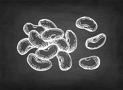 Chalk sketch of common bean Stock-Illustration