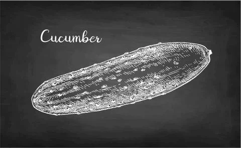 Chalk sketch of cucumber. Stock Illustration