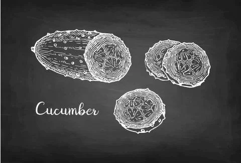 Chalk sketch of cucumber. Illustrazione stock