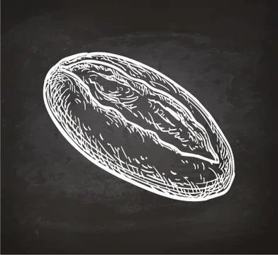 Chalk sketch of loaf 库存插图