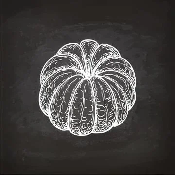Chalk sketch of mandarin orange. Stock Illustration
