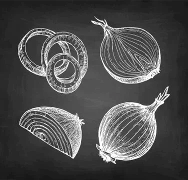 Chalk sketch of onion Stock Illustration
