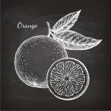 Chalk sketch of orange Stock Illustration