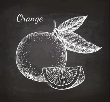 Chalk sketch of orange Illustrazione stock