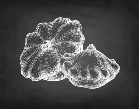 Chalk sketch of pattypan squash. Stock Illustration