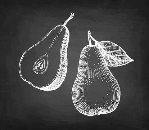 Chalk sketch of pear. Stock Illustration