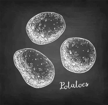 Chalk sketch of potatoes. Stock Illustration