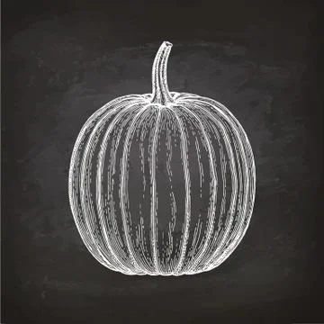 Chalk sketch of pumpkin Stock Illustration