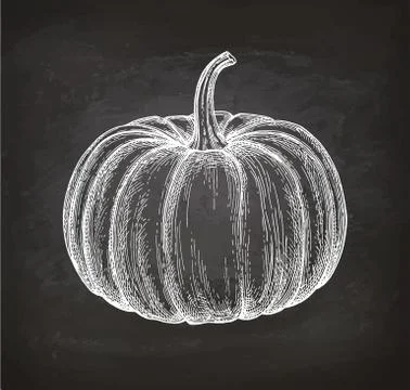 Chalk sketch of pumpkin Illustrazione stock