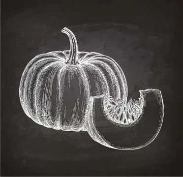 Chalk sketch of pumpkin Illustrazione stock