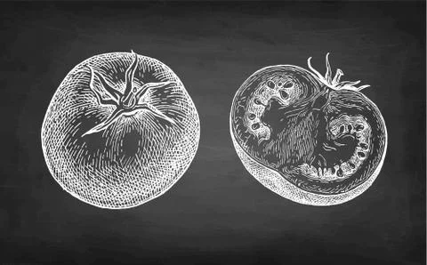 Chalk sketch of tomatoes. Stock-Illustration