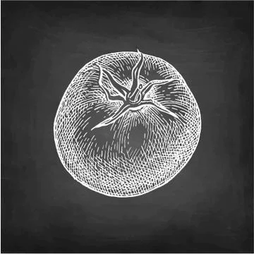 Chalk sketch of tomatoes. Illustrazione stock