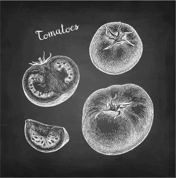 Chalk sketch of tomatoes. Illustrazione stock
