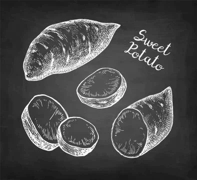 Chalk sketch of yam. Illustrazione stock