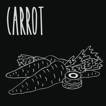 Chalkboard carrot root vegetable Stock Illustration
