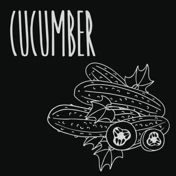 Chalkboard cucumber vegetable Stock Illustration