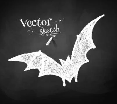 Chalkboard drawing of bat Stock Illustration