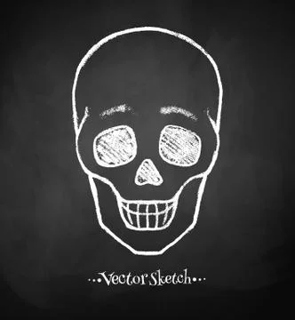 Chalkboard drawing of skull Stock Illustration