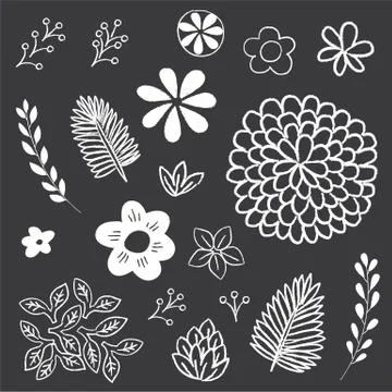 Chalkboard Floral and Leaf Elements Set Stock Illustration