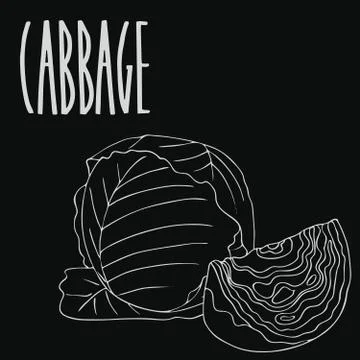 Chalkboard green cabbage vegetable Stock Illustration