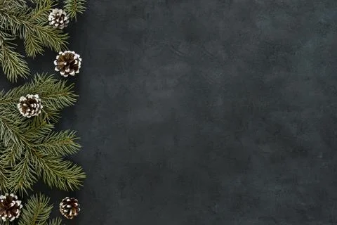 Chalkboard with pine needles cones Stock Photos
