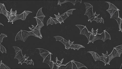 Chalkstyle bats in flight on black background in artistic seamless animation Stock Footage 314459252
