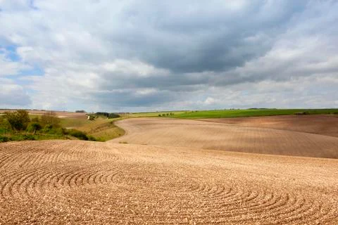Chalky cultivated fields Stock Photos