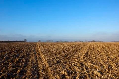 Chalky plow soil Stock Photos