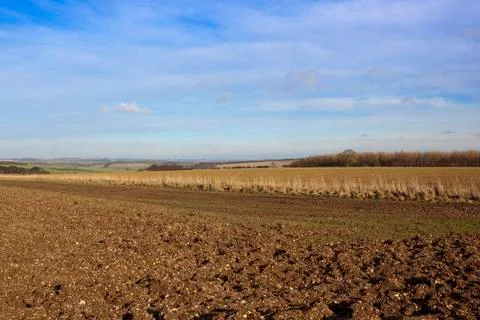 Chalky soil and patchwork fields Stock Photos