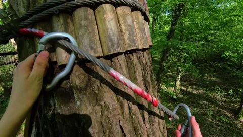 Challenges in a treetop adventure park 스톡 동영상 310735182