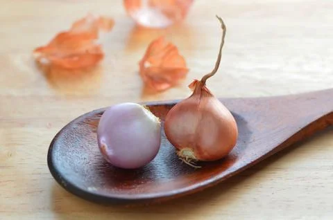 The challots in the spoon 写真素材