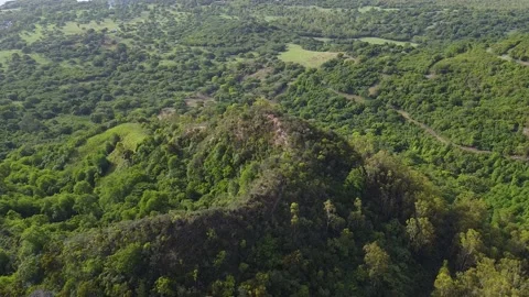 Chamarel area Stock Footage 147937921