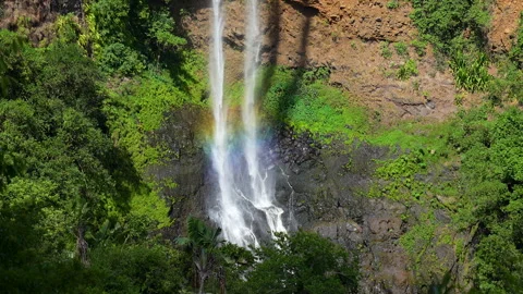 Chamarel waterfall Stock Footage 309877095