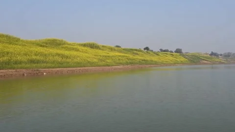 Chambal River Bio-diversity Stock Footage 159273969